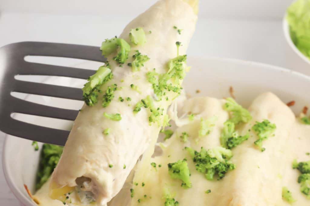 Chicken and Cheese Manicotti 