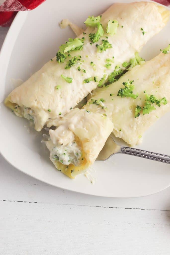 Chicken Alfredo Manicotti