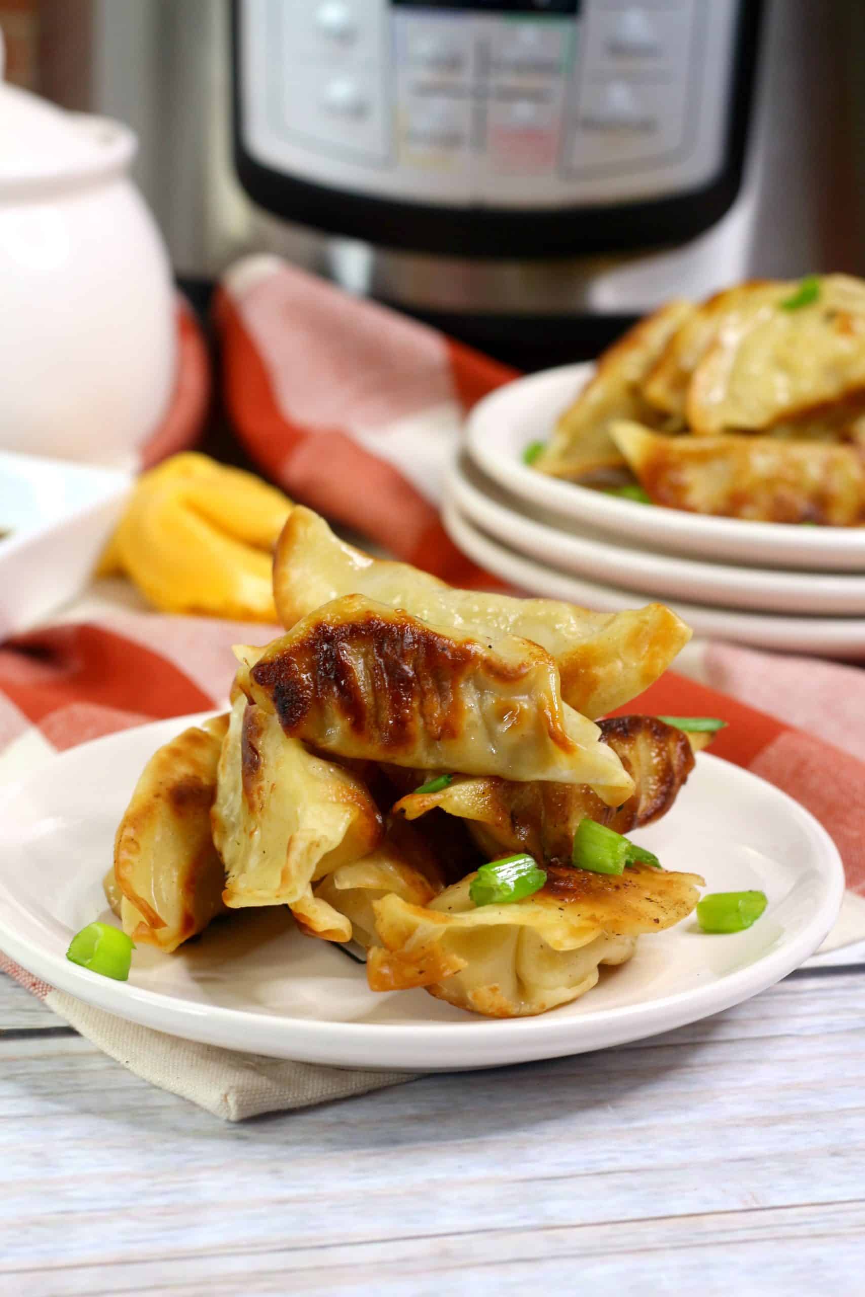 Instant Pot Chinese Dumplings - Mama's On A Budget