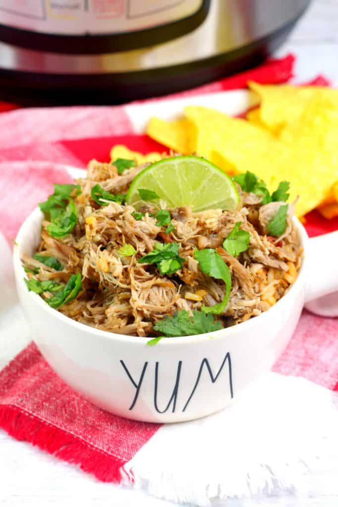 Pork Carnitas