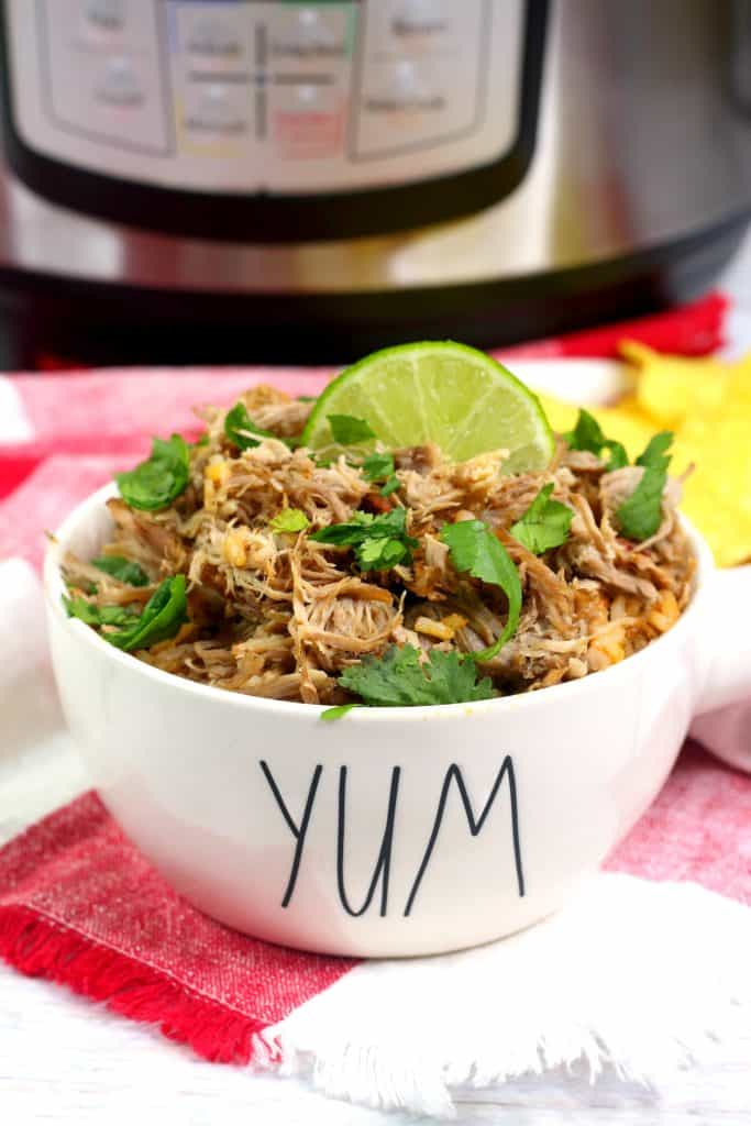 pork carnitas in a bowl