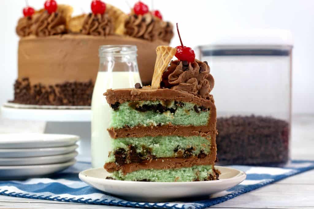 Mint Chip Ice Cream Cake