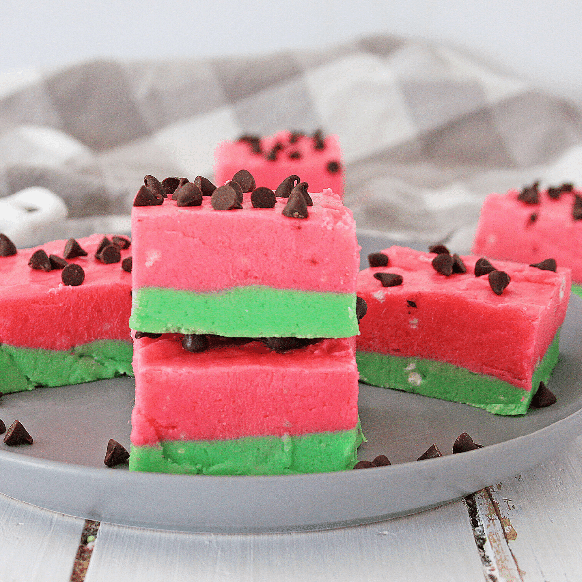 Watermelon Fudge on Gray Plate