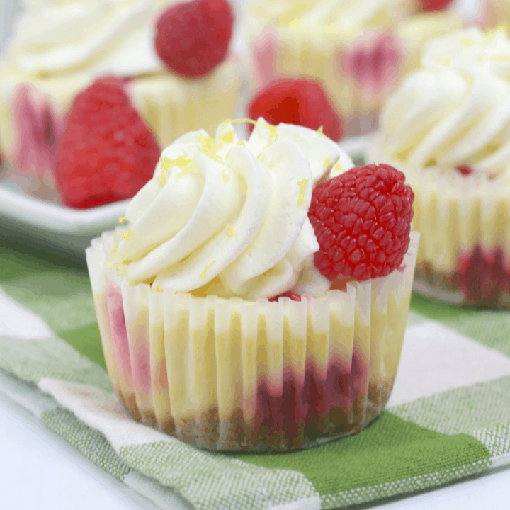 Mini Lemon Raspberry Cheesecakes - Mama's On A Budget