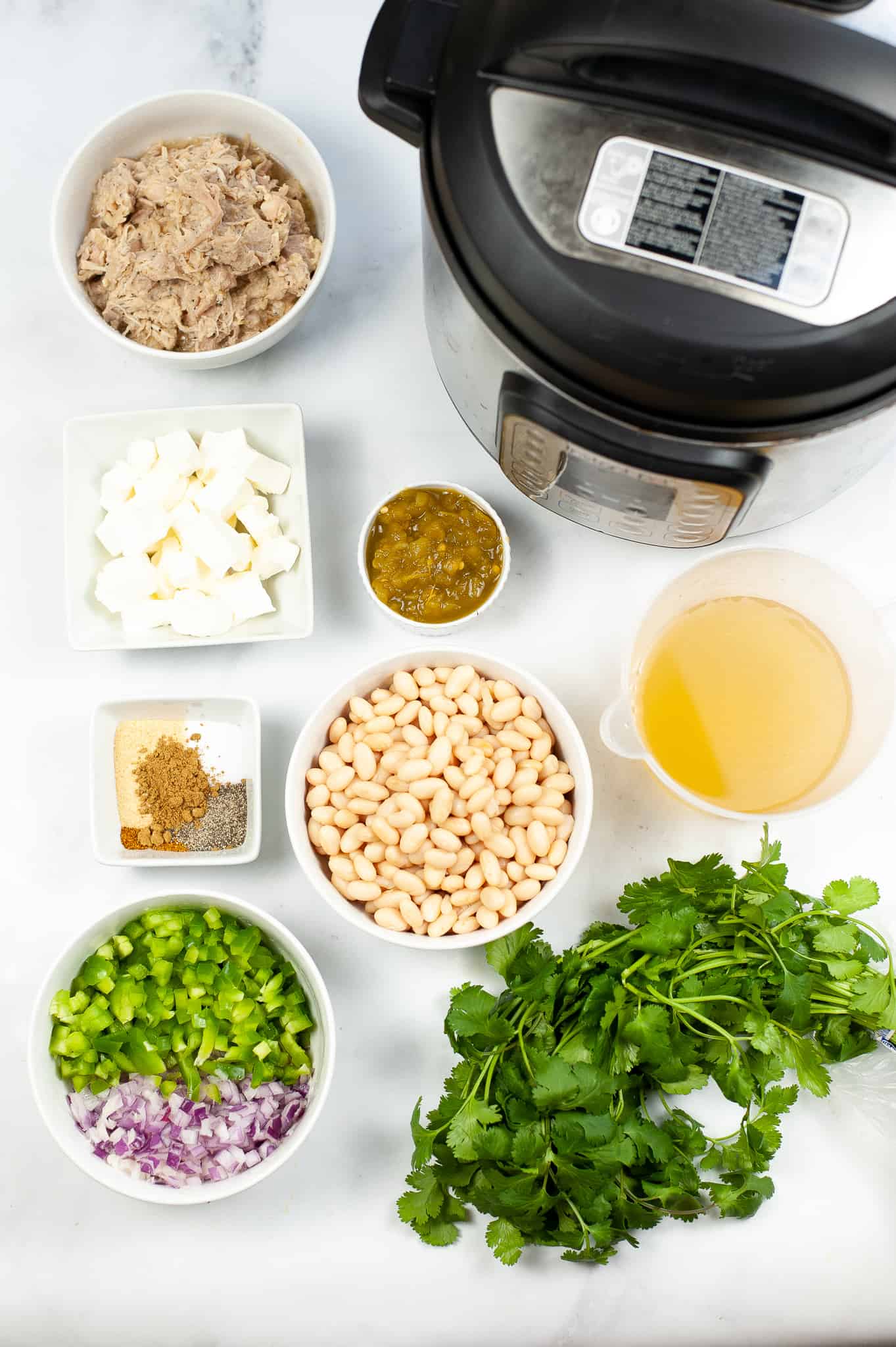instant pot and ingredients