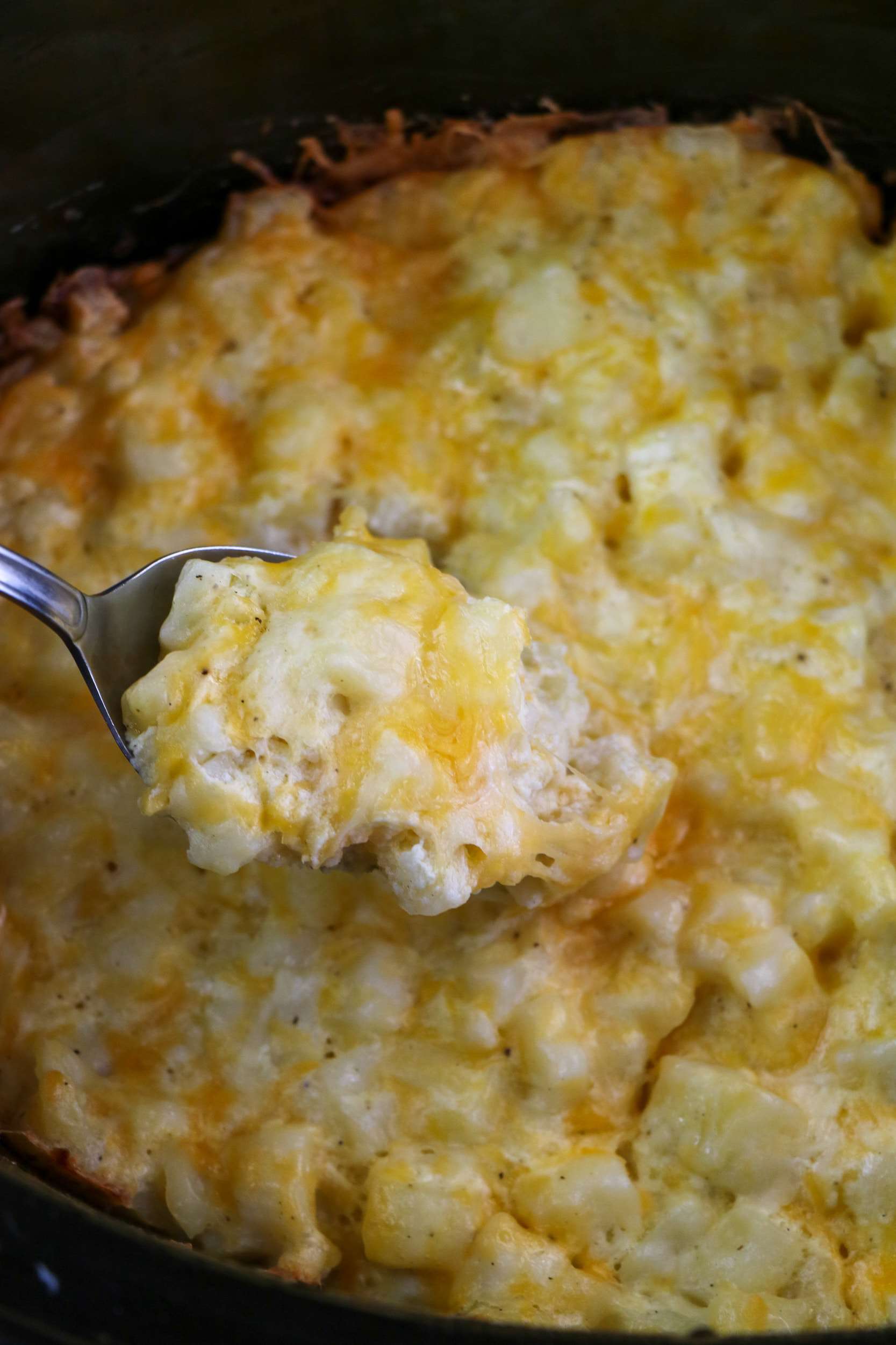 spoon full of cheesy potatoes