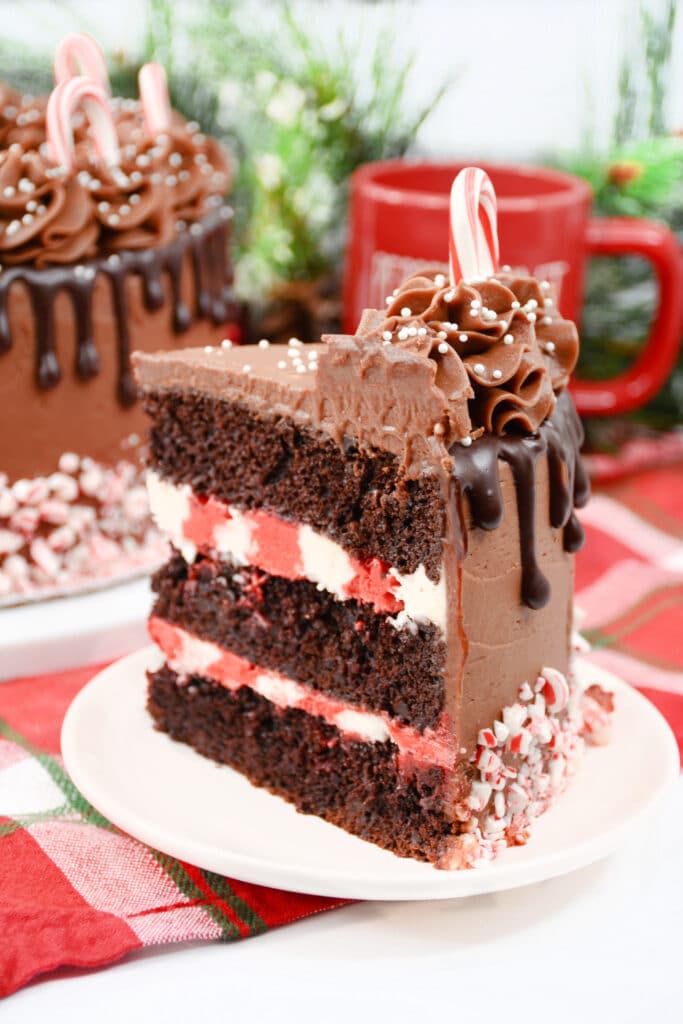 wedge slice of a chocolate candy cane cake on a white plate