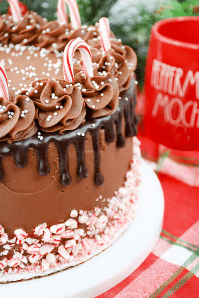 vertical image of a whole chocolate peppermint cake