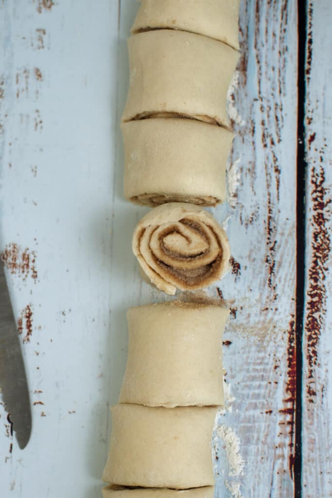roll of sourdough cinnamon rolls being sliced into cinnamon rolls