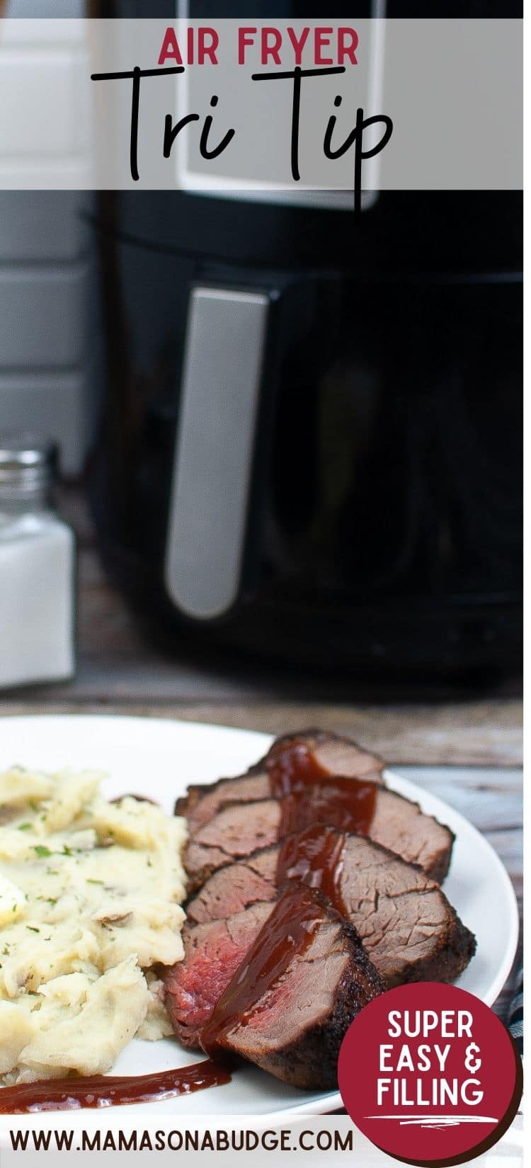 Air Fryer TriTip Mama's On A Budget