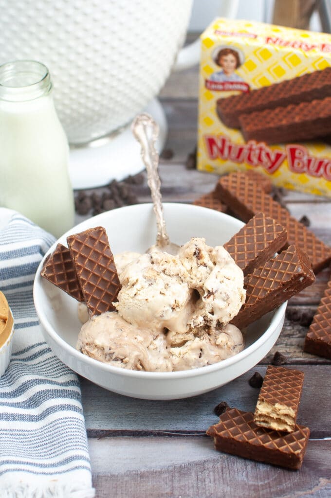 bowl of nutty buddy ice cream, with nutty buddy wafers