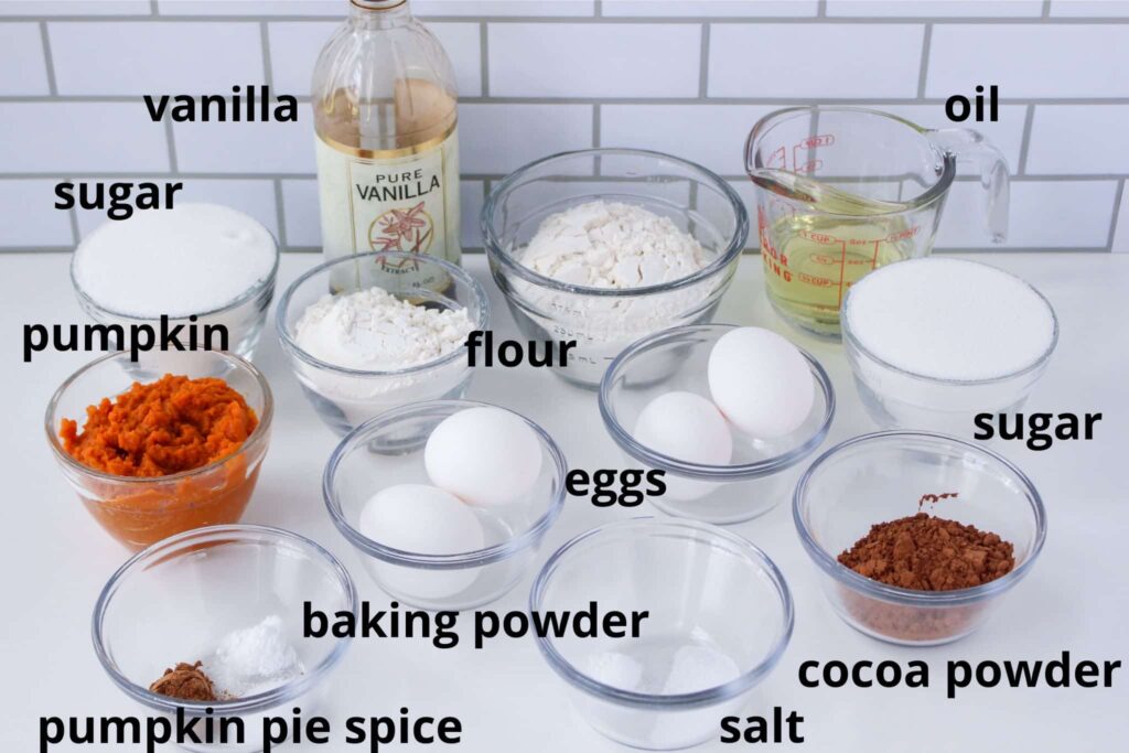 bowls of vanilla, sugar, oil, flour, pumpkin, egg, baking powder, pumpkin spice, salt, cocoa powder on a white background