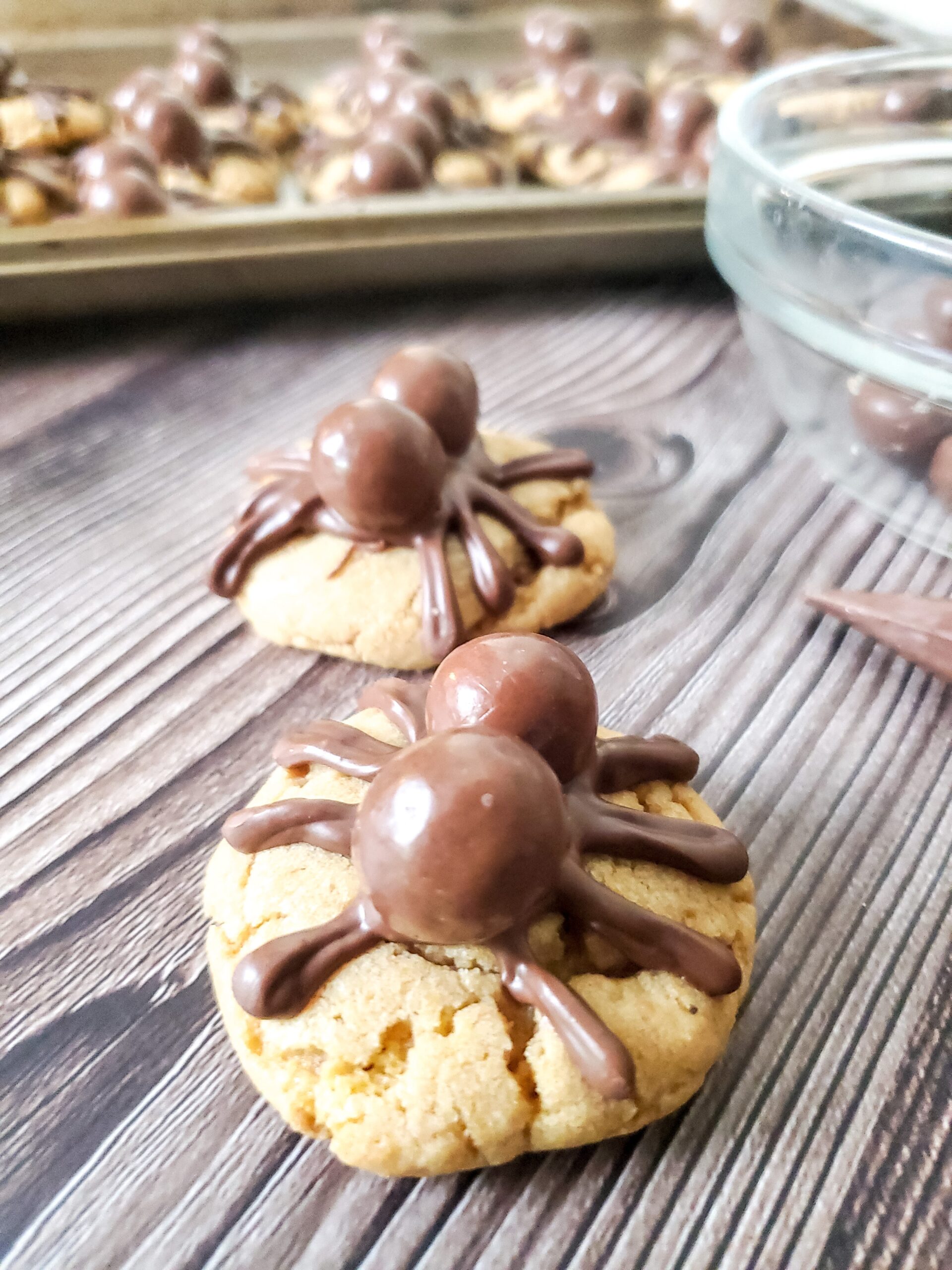 two spider cookies on a wooden background