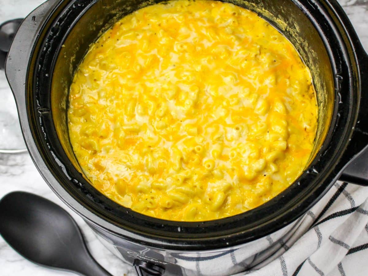 cooked mac and cheese in slow cooker