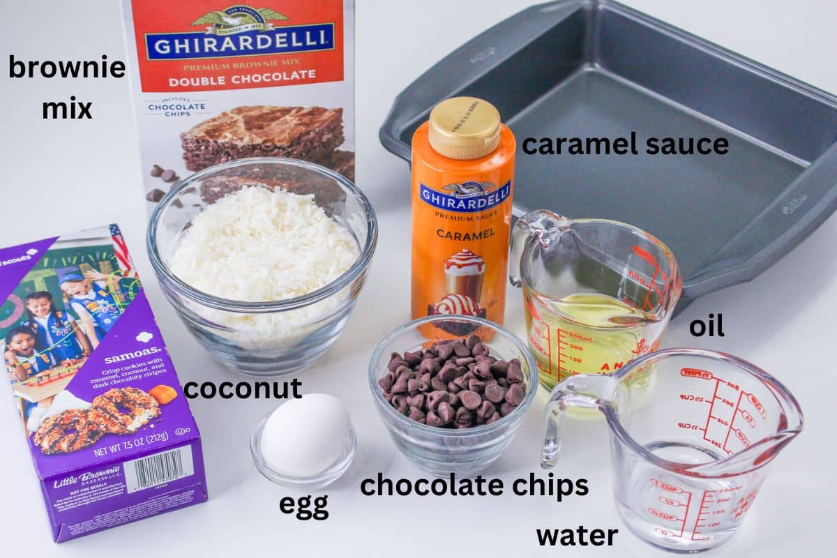 brownie mix, baking pan, caramel sauce, chocolate chips, oil, water, egg, coconut and a box of cookies on a white background