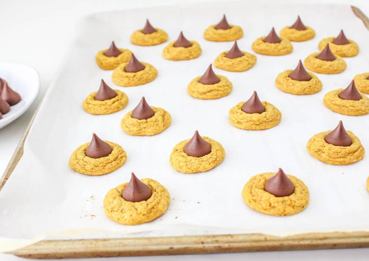 Pumpkin Blossom Cookies Mama's On A Budget Fun fall cookies