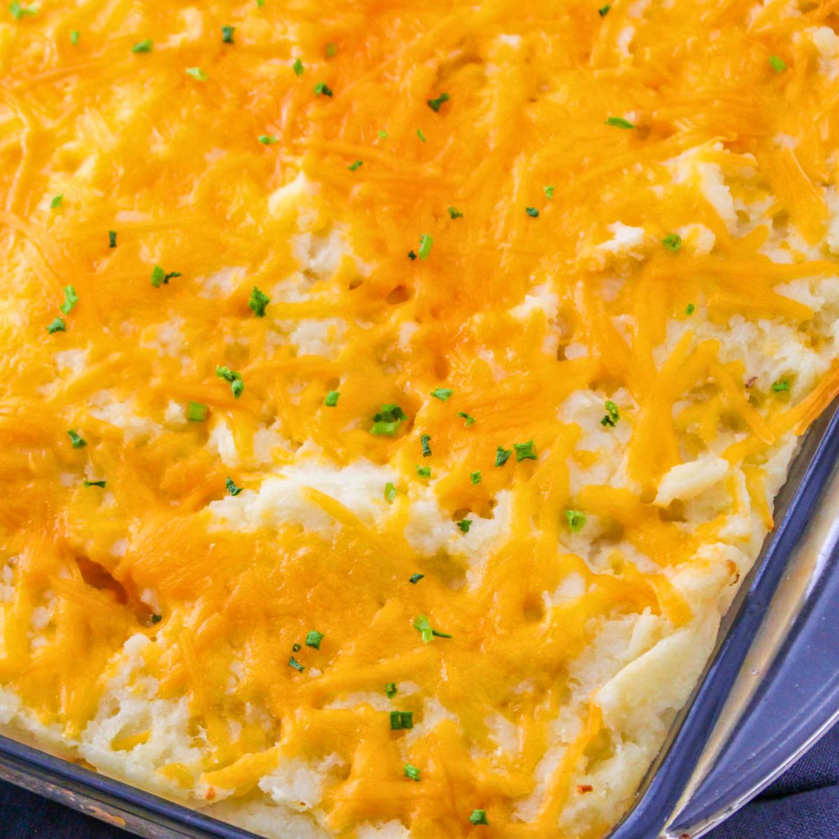 A cheesy mashed potato casserole filled with creamy mashed potatoes, topped with melted cheddar cheese and sprinkled with chopped chives.