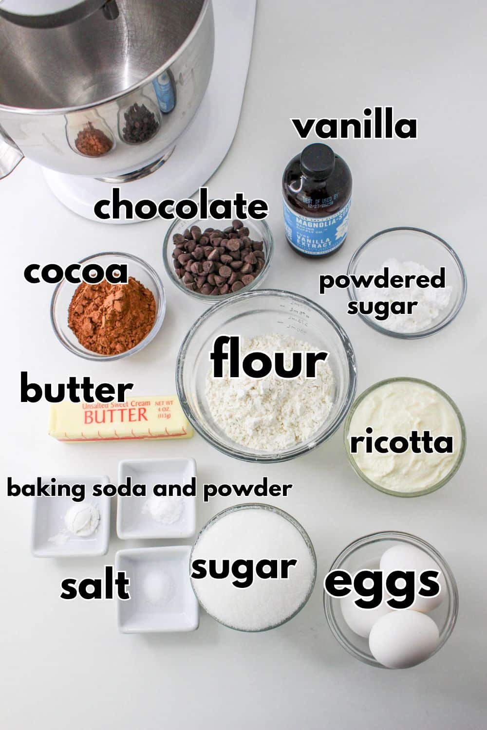 ingredients for riccotta cake on table: flour, cocoa, eggs, butter, sugar, ricotta , powdered sugar, salt, baking soda, baking powder, and pchocolate chips