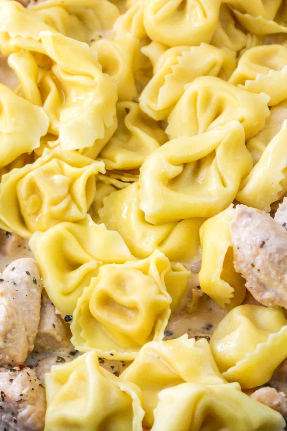 cooked tortellini added into a skillet with creamy white sauce and diced chicken