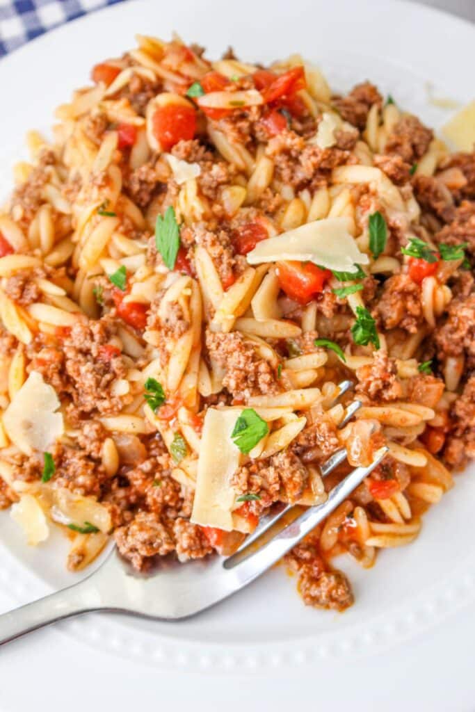 Ground Beef and Orzo Skillet - Mama's On A Budget