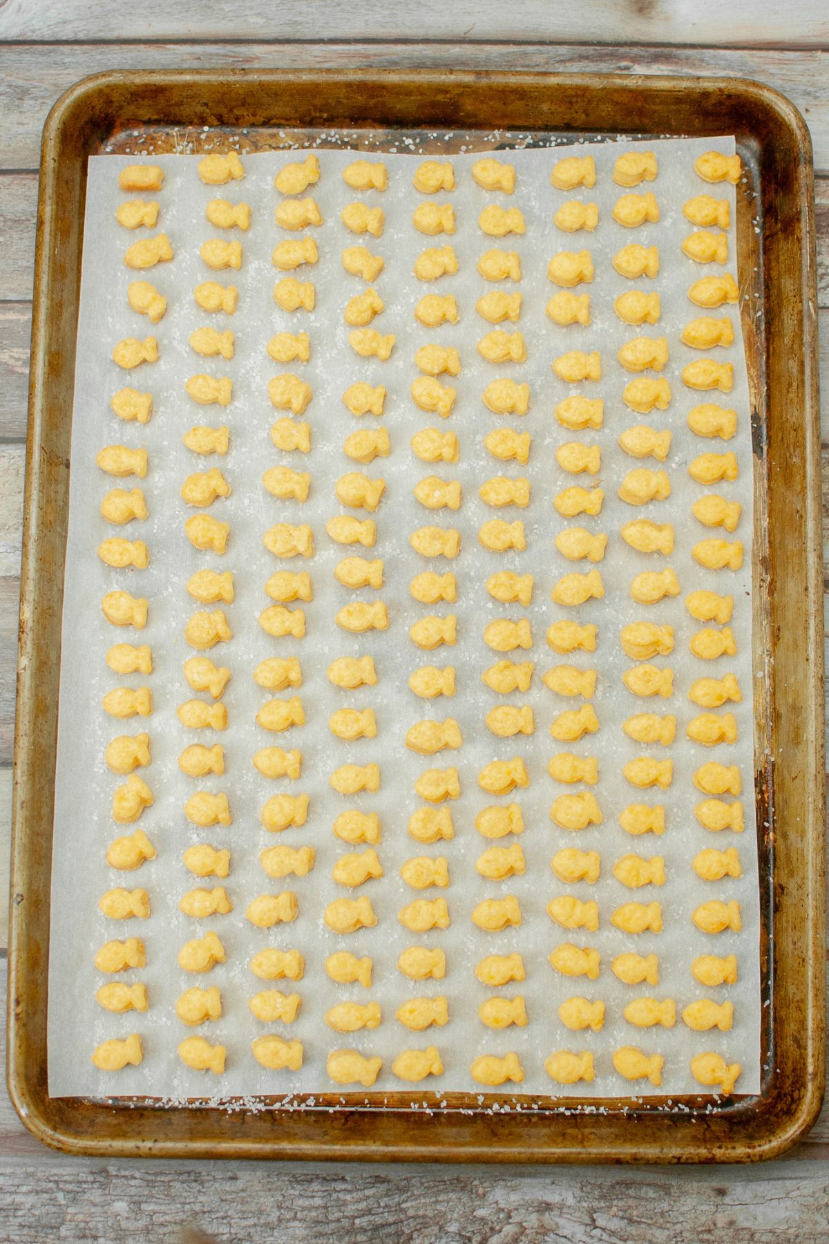 baked sourdough cheese crackers on a parchment lined baking sheet.