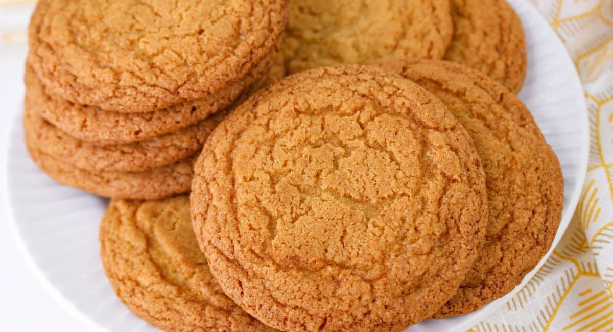 Chocolate Chipless Cookies - Mama's On A Budget