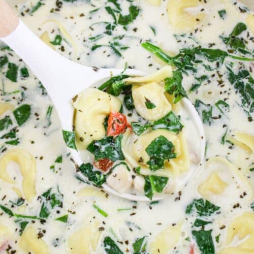 Chicken Tortellini Alfredo Soup