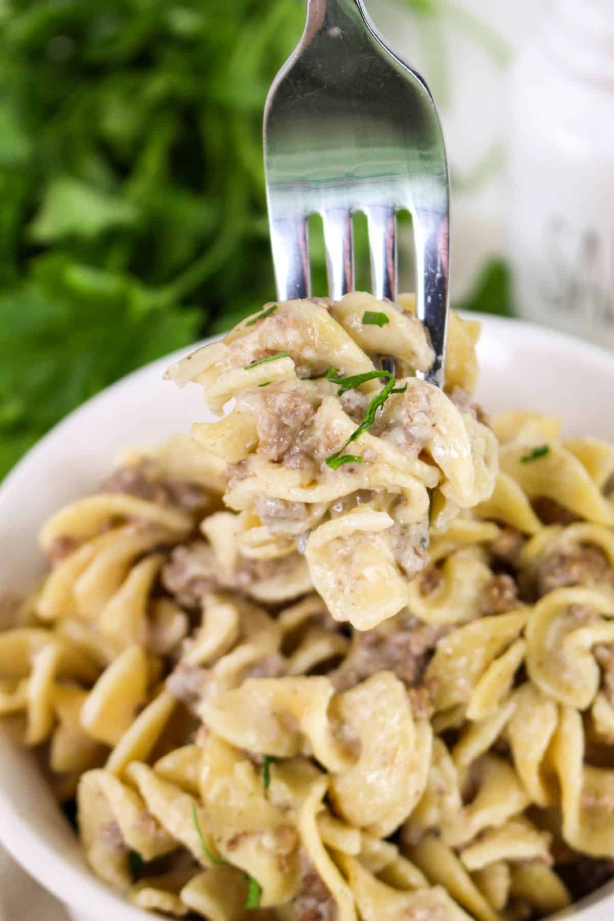 Ground Beef and Noodles on a fork