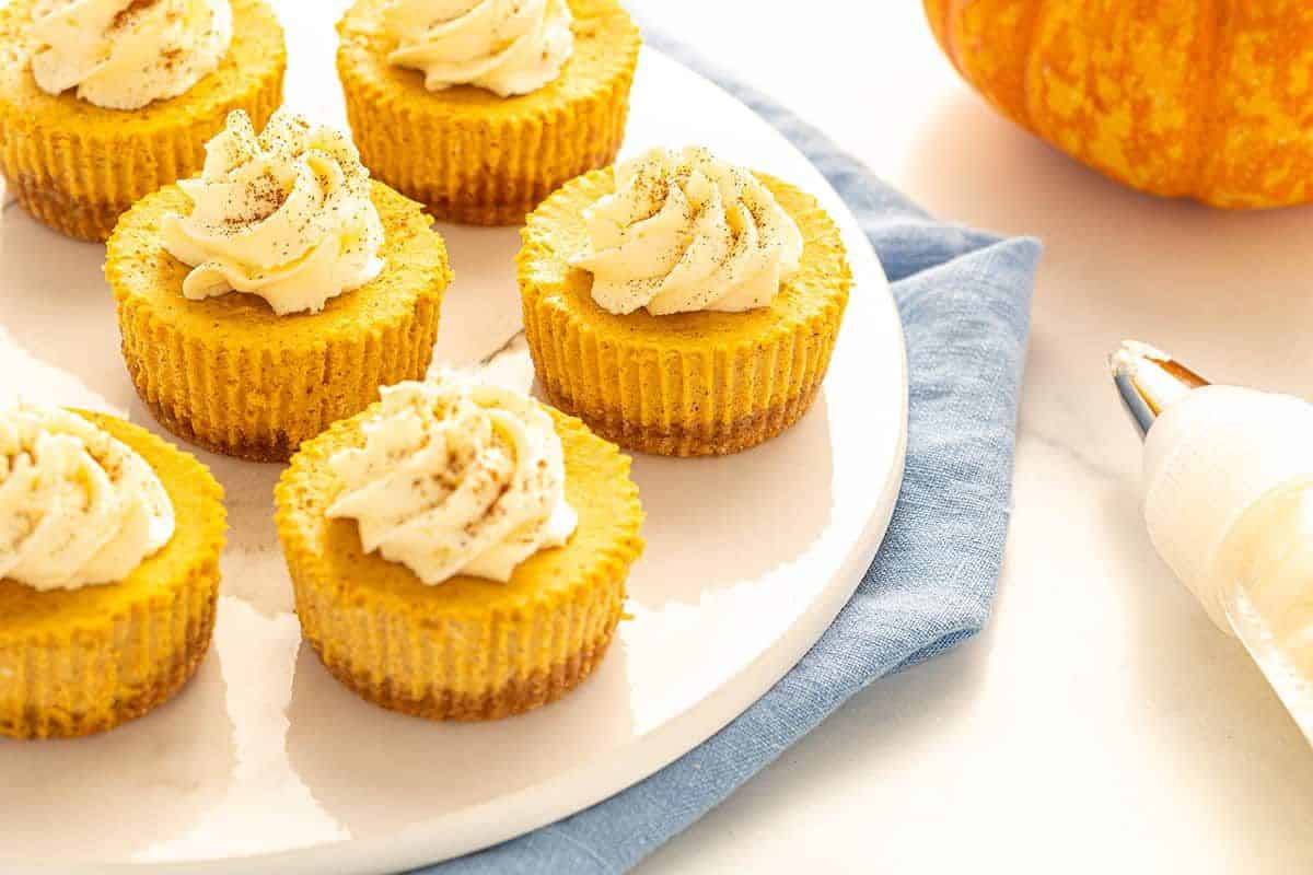 Mini Pumpkin Cheesecakes on a plate