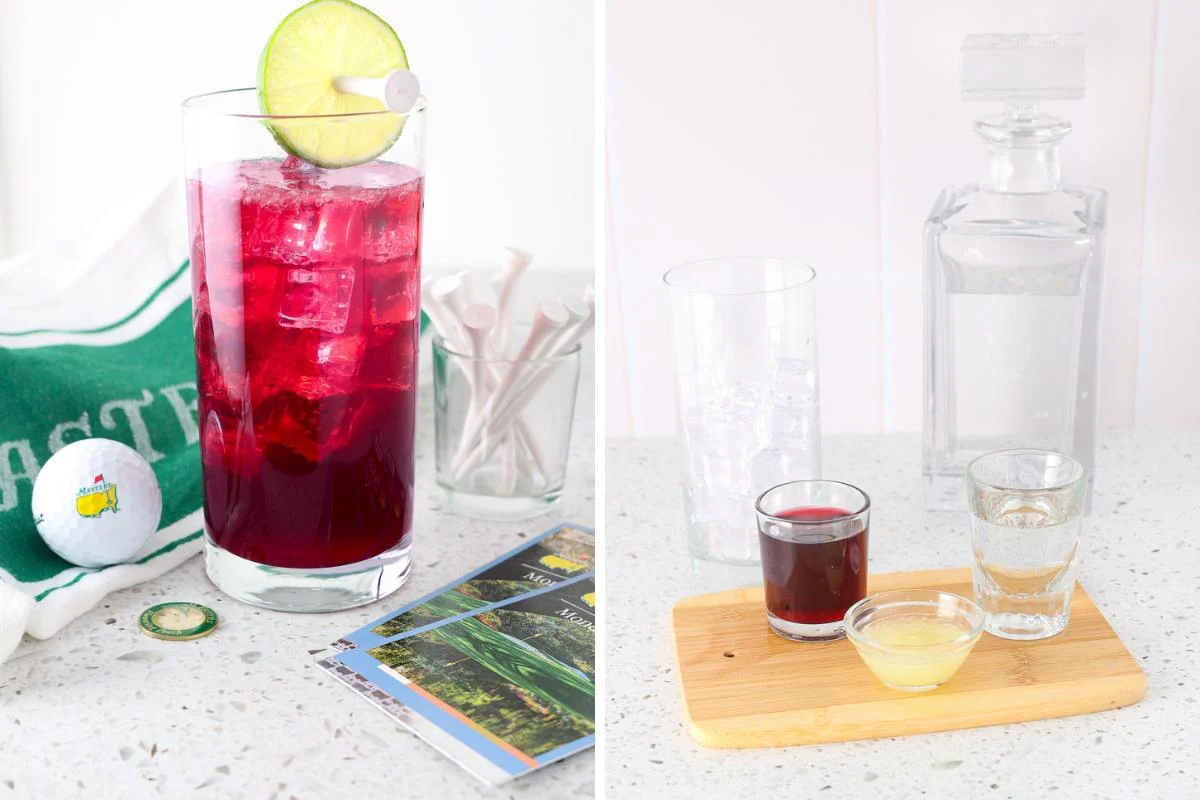 A refreshing Transfusion Cocktail served in a glass.