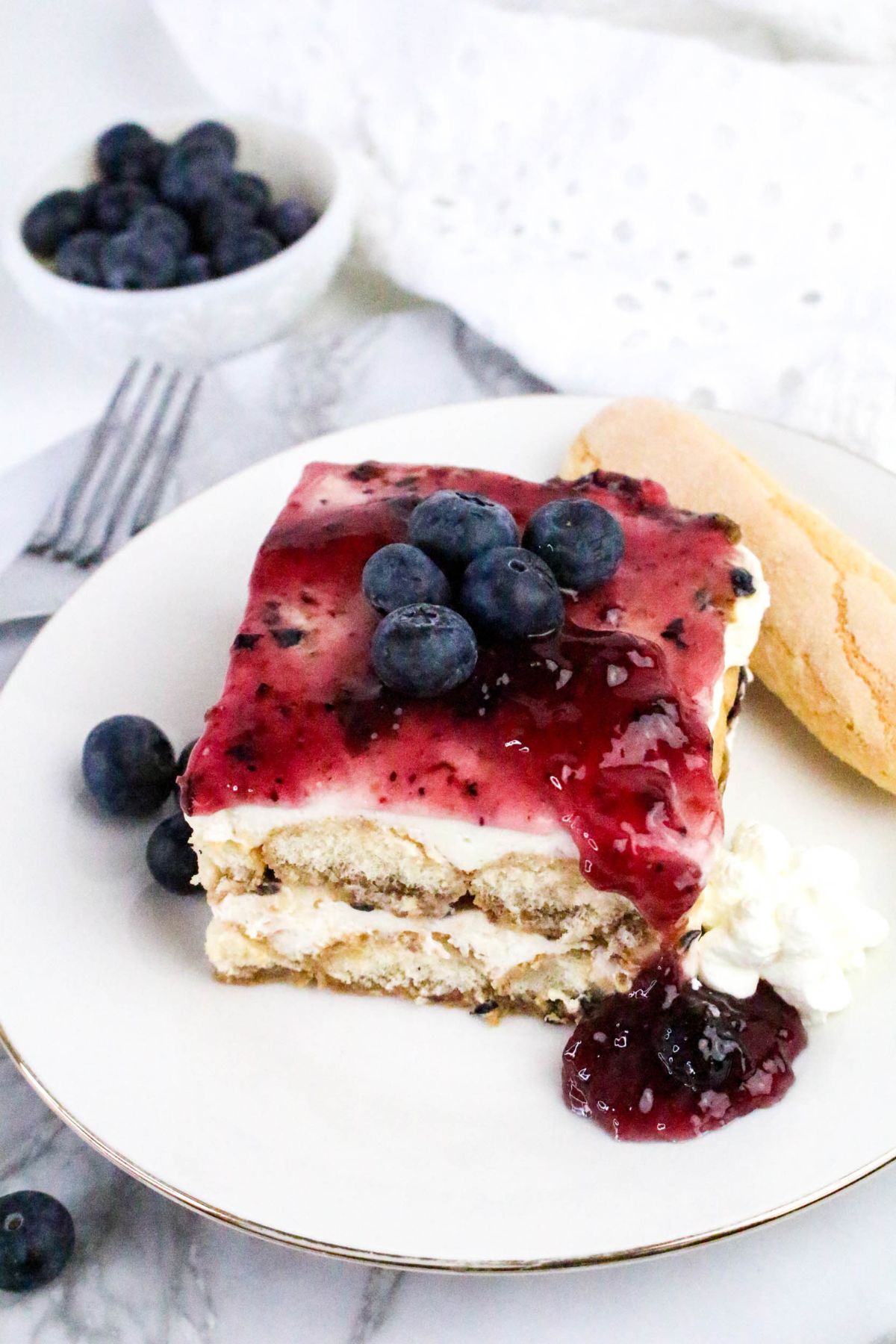 A slice of layered dessert topped with blueberry sauce and fresh blueberries, served with a ladyfinger biscuit, whipped cream, and extra sauce on a white plate.
