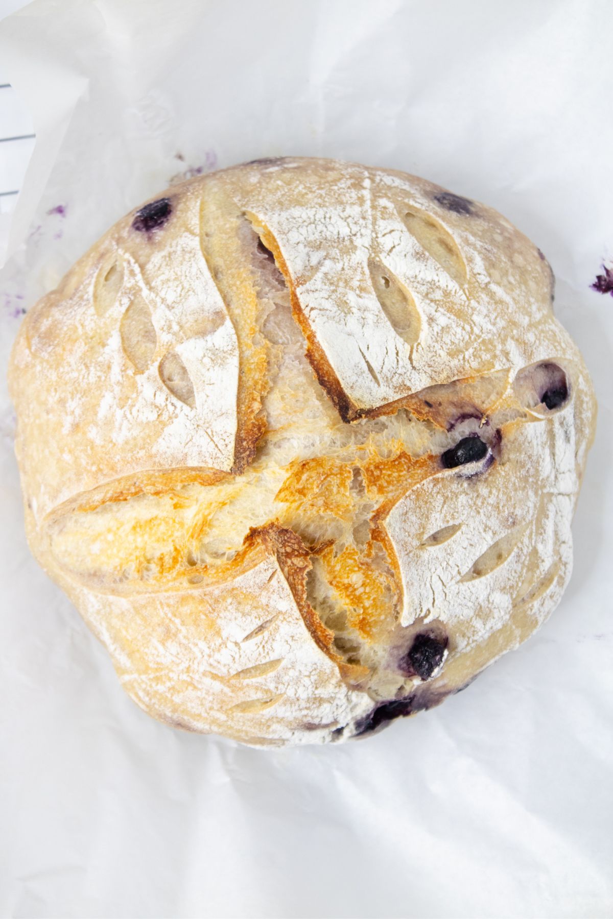 A round, rustic loaf of bread with a golden crust, flour dusting, decorative slashes, and visible blueberries, resting on white parchment paper.