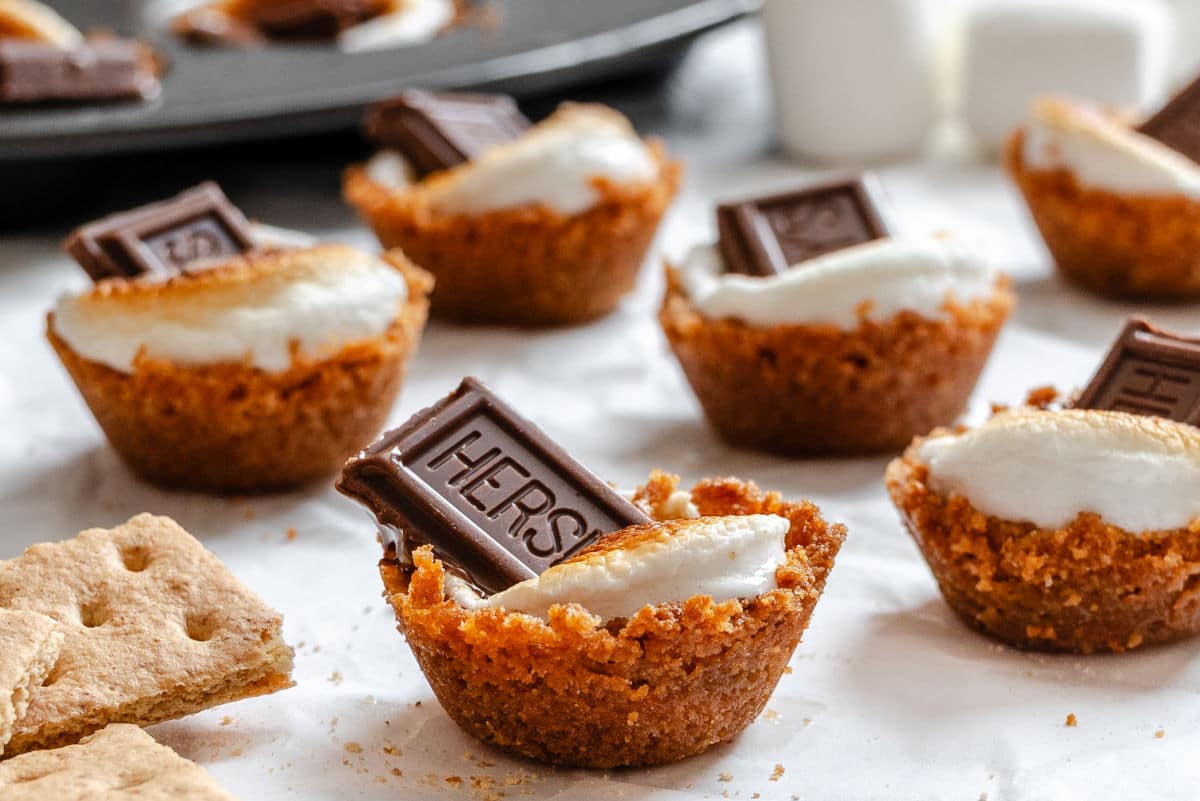 Mini smores cups with graham cracker crusts, toasted marshmallows, and pieces of chocolate on top, arranged on a white surface.