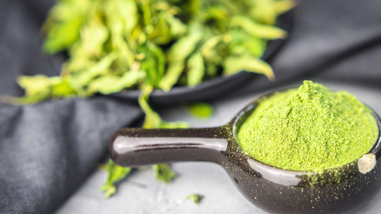 A small black ceramic spoon holds bright green matcha powder, with a plate of dried green leaves blurred in the background.