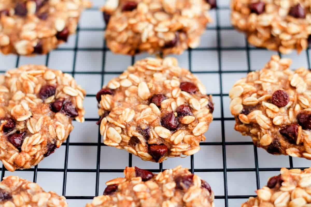 Close-up of oatmeal chocolate chip cookies cooling on a black wire rack.