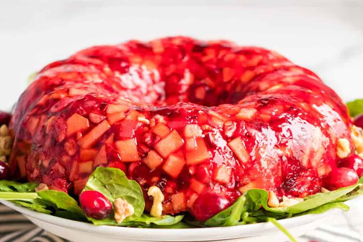 A molded cranberry salad with visible fruit and nut pieces, served on a white plate with a garnish of spinach leaves and whole cranberries.