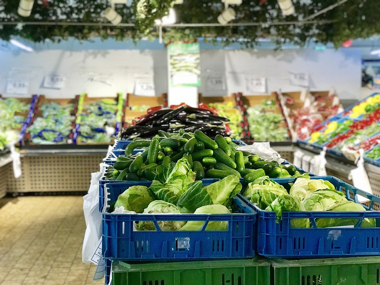 A supermarket produce section displays bins of fresh cucumbers, lettuce, and other vegetables, with more produce visible on shelves in the background.