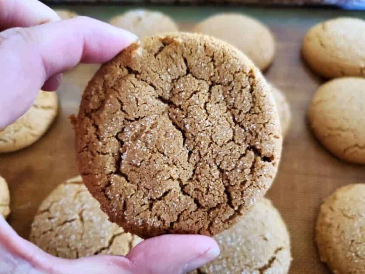 A hand holds up a round, cracked ginger cookie sprinkled with sugar; more cookies are visible on a baking tray in the background.