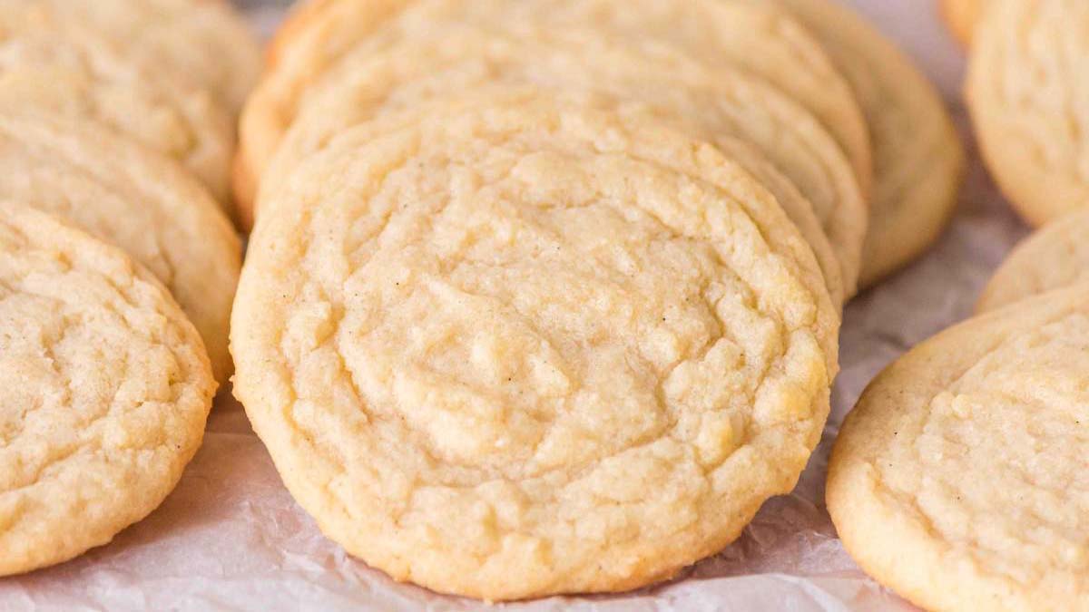Close-up of several plain sugar cookies arranged in overlapping rows on a sheet of parchment paper.