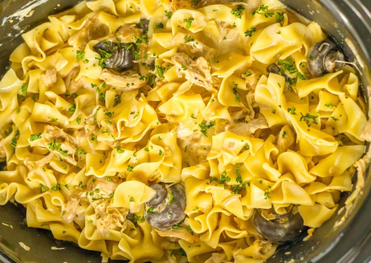 A close-up of cooked egg noodles mixed with pieces of chicken, mushrooms, and garnished with chopped parsley.