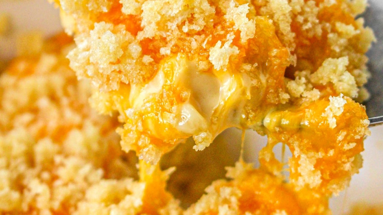 Close-up of cheesy baked casserole with a golden breadcrumb topping and melted cheese stretching as it is scooped.
