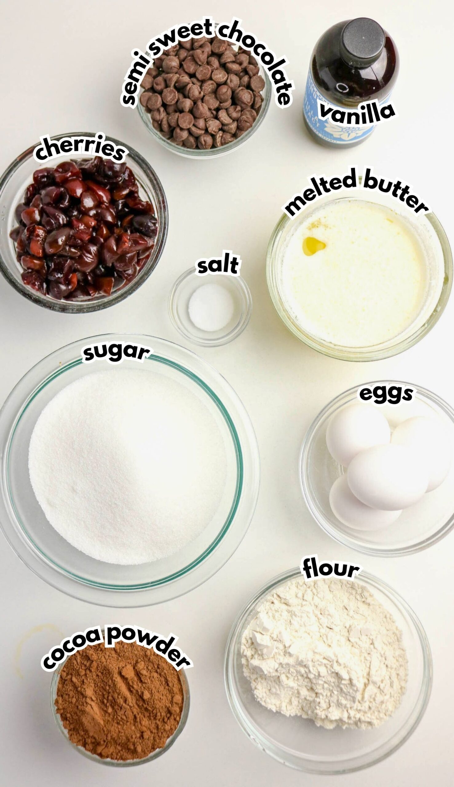 Top-down view of ingredients in bowls labeled as semi-sweet chocolate, vanilla, melted butter, eggs, flour, cocoa powder, sugar, salt, and cherries.