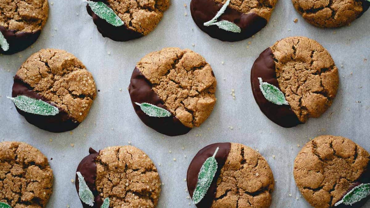 Rows of round cookies, half-dipped in chocolate and topped with a sugared green leaf, are arranged on parchment paper.