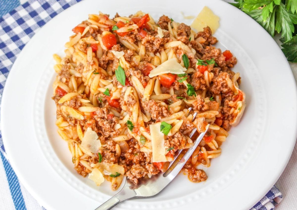 A white plate with orzo pasta mixed with ground meat, tomato sauce, chopped herbs, and shaved cheese. A fork rests on the plate.
