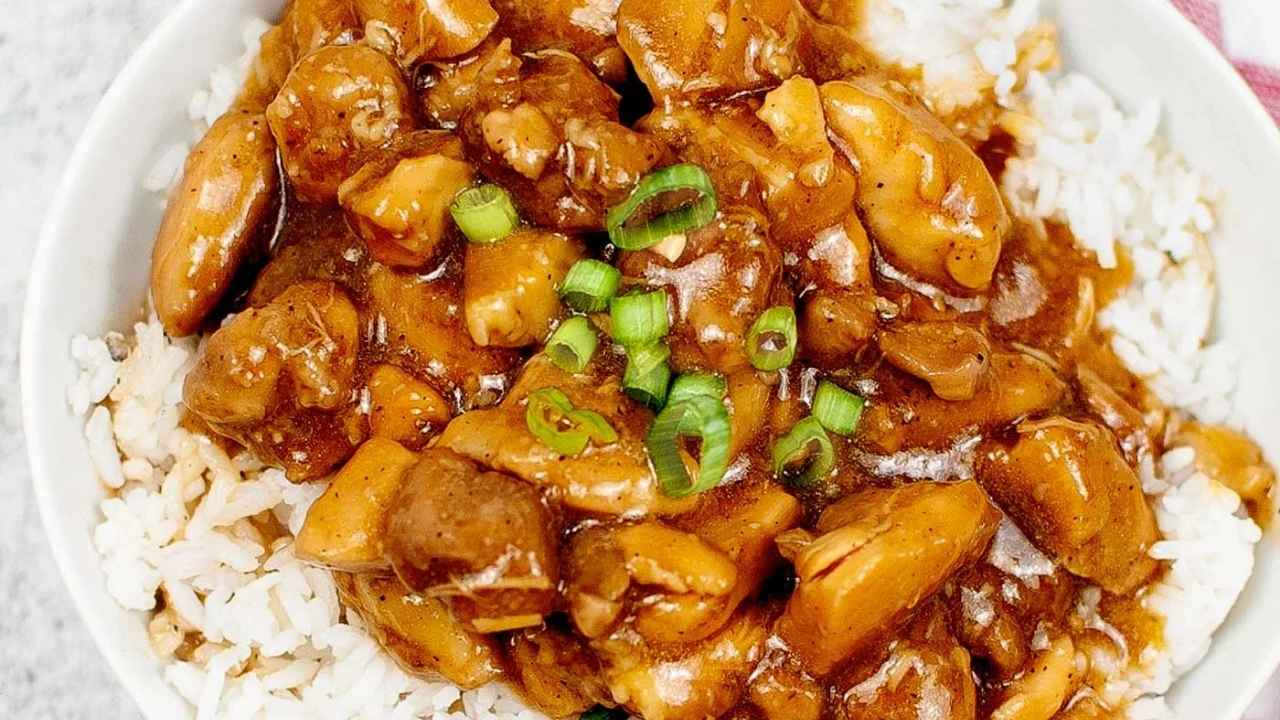 A bowl of white rice topped with brown chicken and mushroom stew, garnished with sliced green onions.