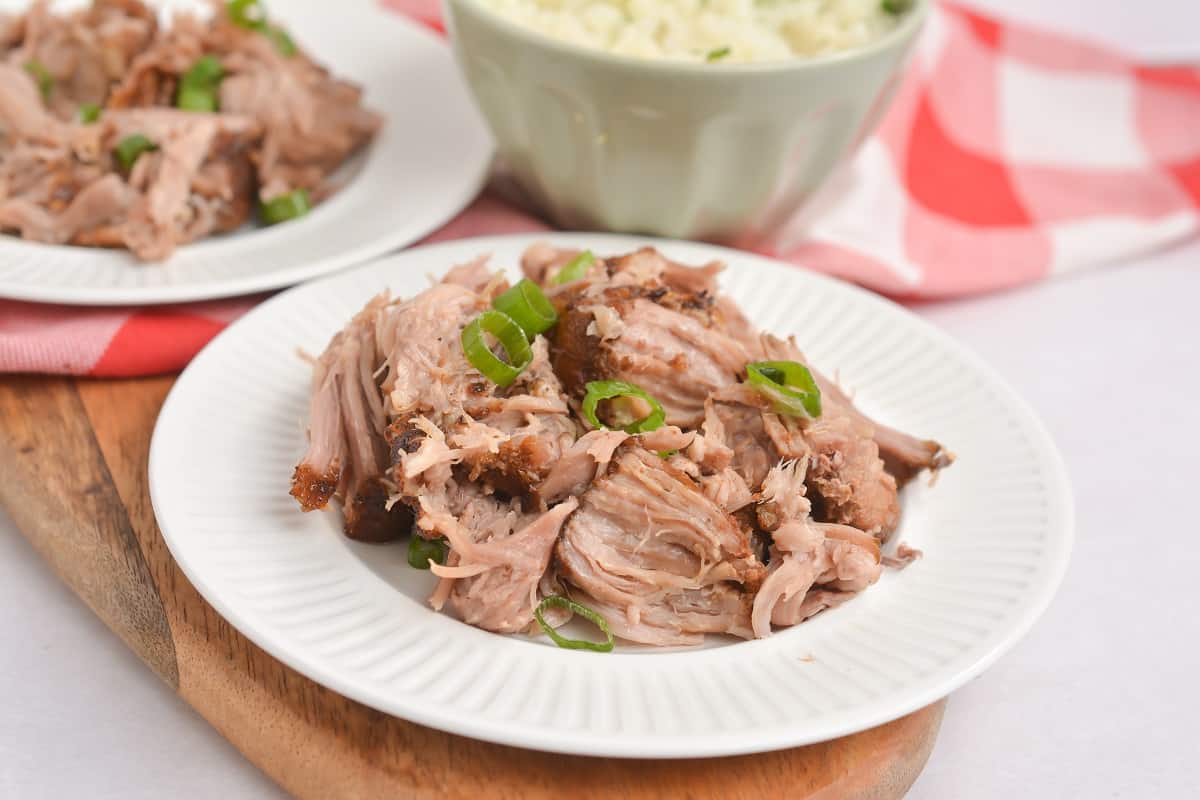 Shredded cooked pork garnished with chopped green onions on a white plate, with a bowl of rice and a red-and-white checkered cloth in the background.