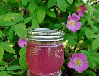 A small mason jar filled with pink jelly sits in front of a green leafy bush with blooming pink flowers.