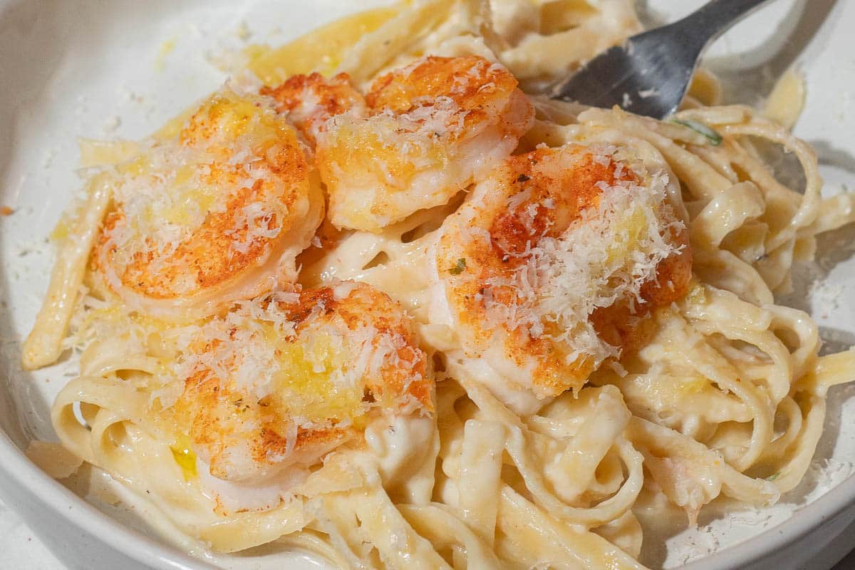 A plate of fettuccine Alfredo topped with cooked shrimp and grated Parmesan cheese, with a fork on the side.