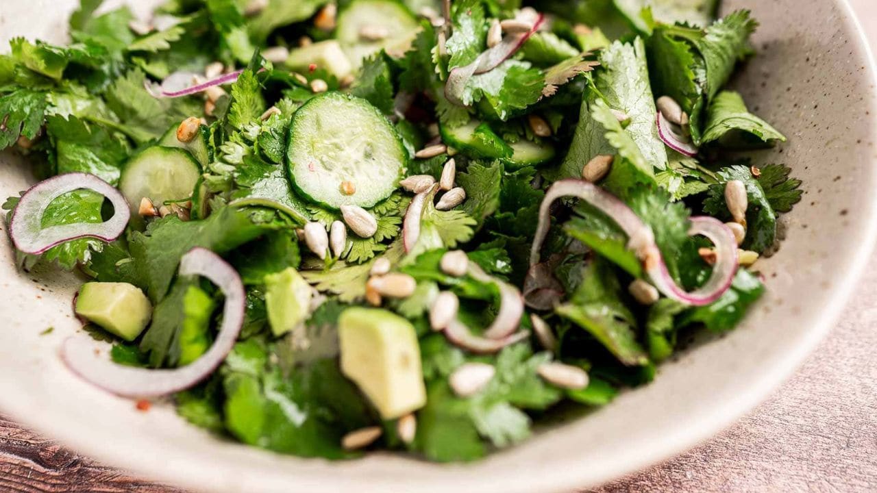 A bowl of fresh salad with cilantro, cucumber slices, red onion, avocado chunks, and sunflower seeds.