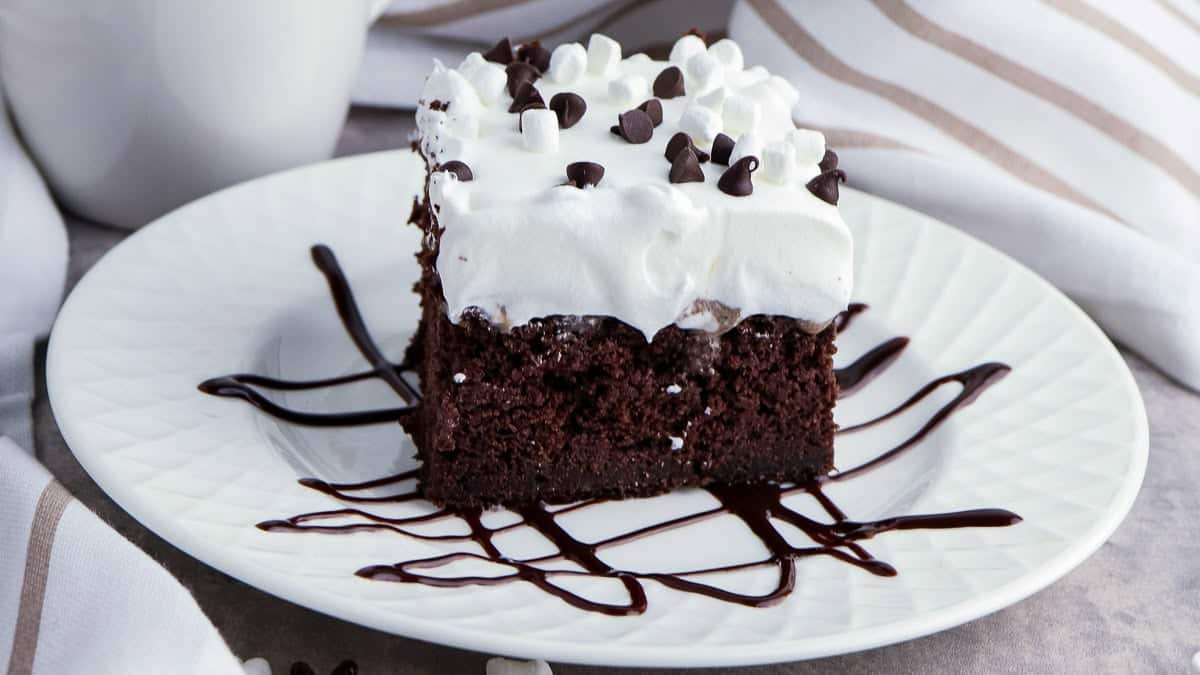 A piece of chocolate cake topped with whipped cream and chocolate chips, served on a white plate with chocolate syrup drizzle.